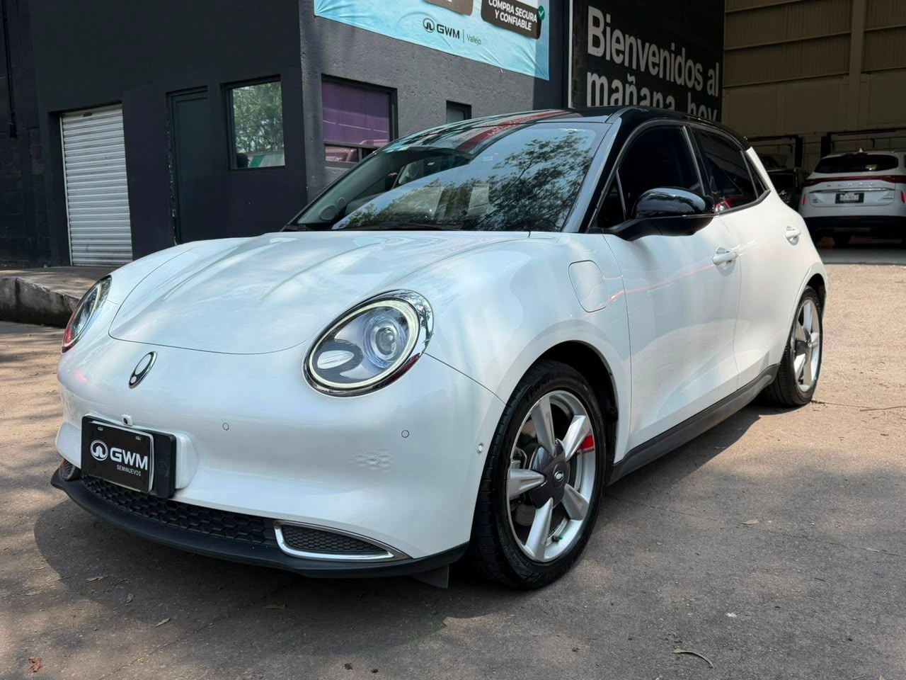 2024 GWM ORA 03 500 Km Luxury At