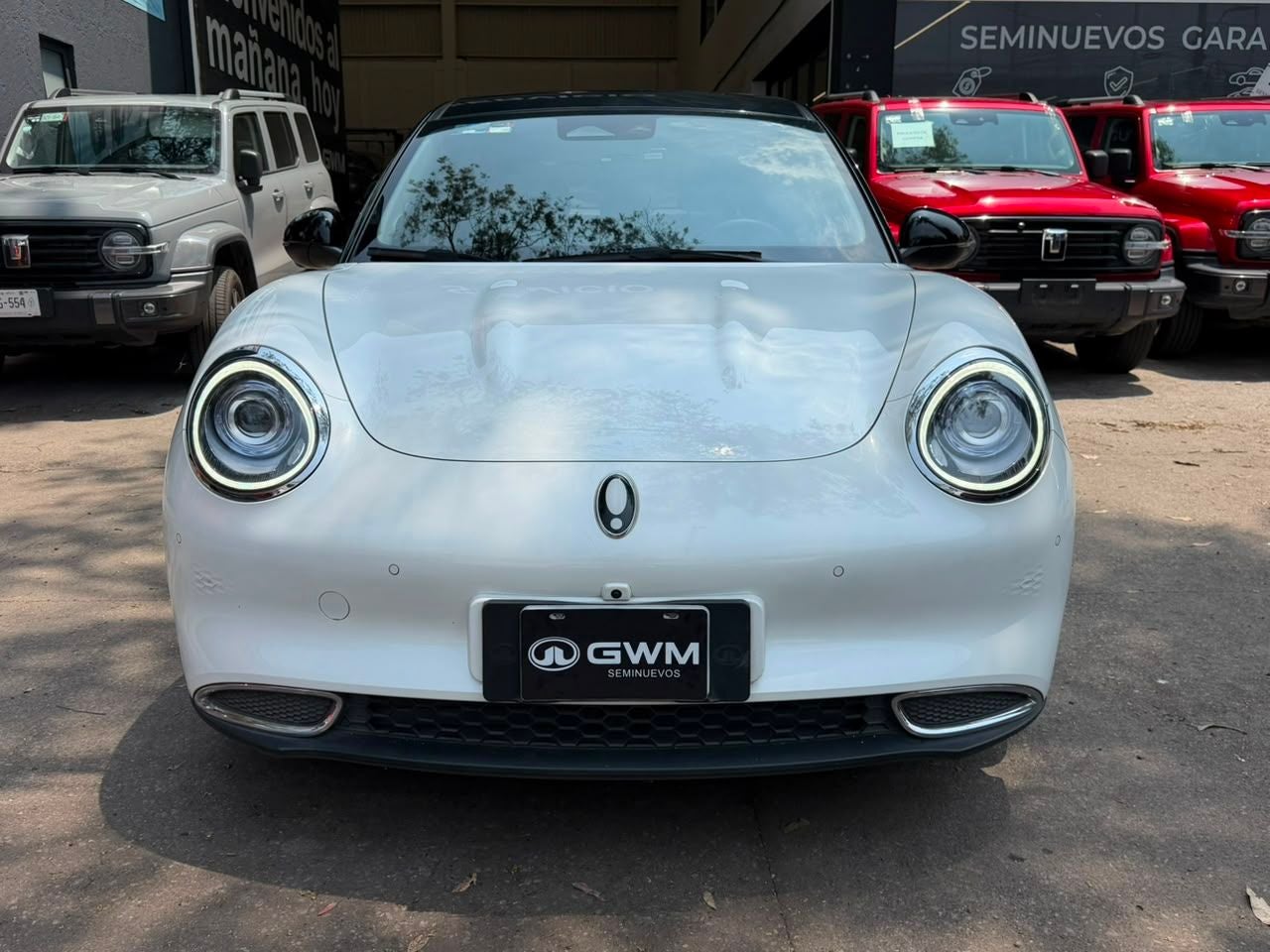 2024 GWM ORA 03 500 Km Luxury At