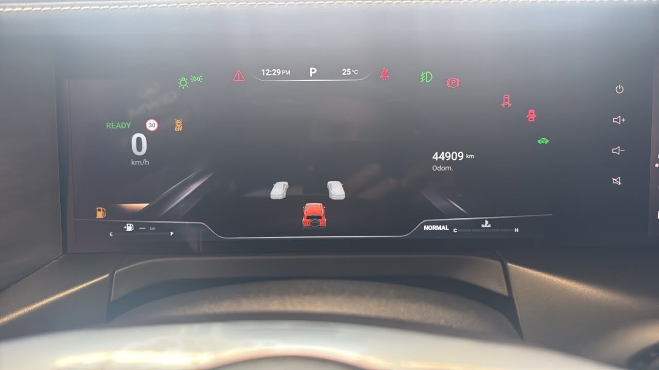2025 GWM Tank 300 2.0 Luxury Hev