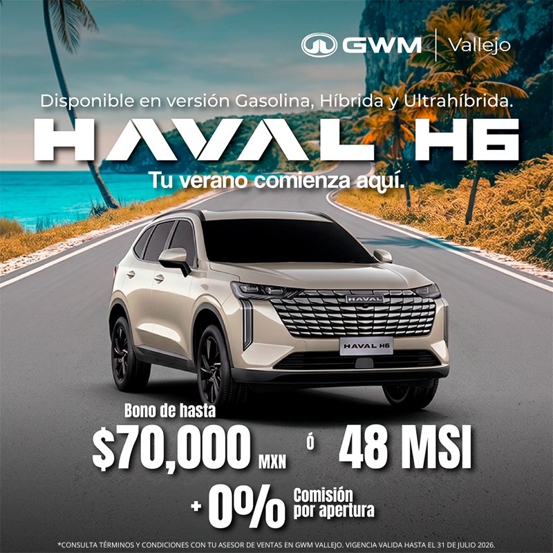 HAVAL H6