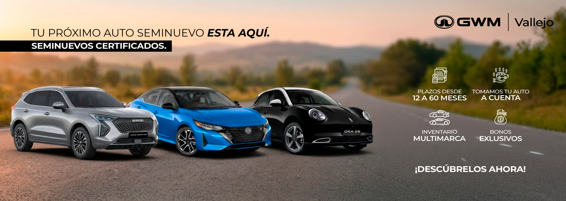 Seminuevos