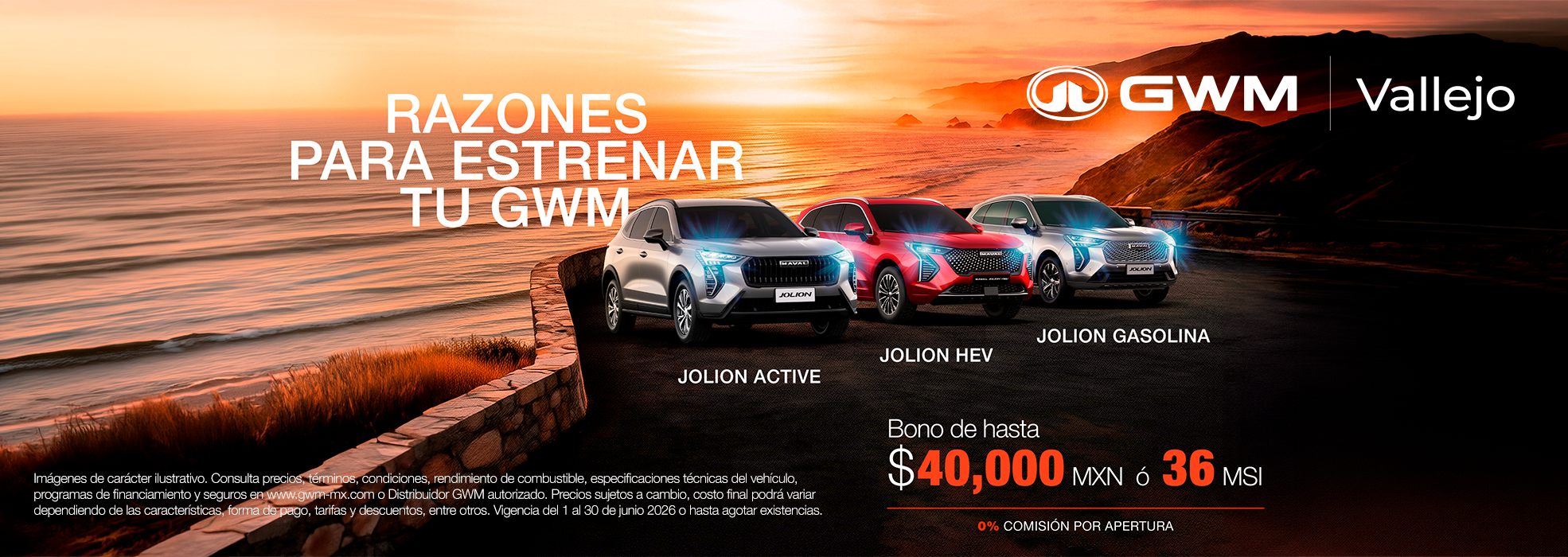 JOLION