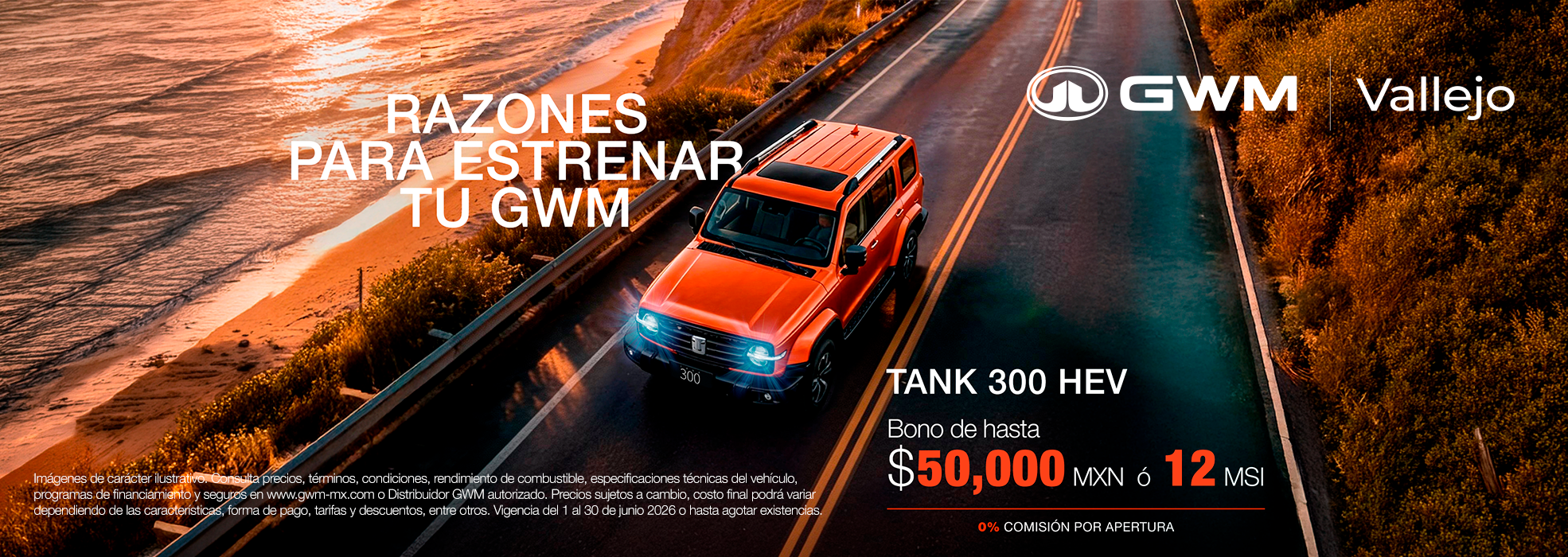 TANK 300